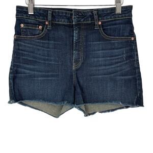 Aritzia The‎ Castings High Rise Jean Shorts Size 29 Crown Wash Denim